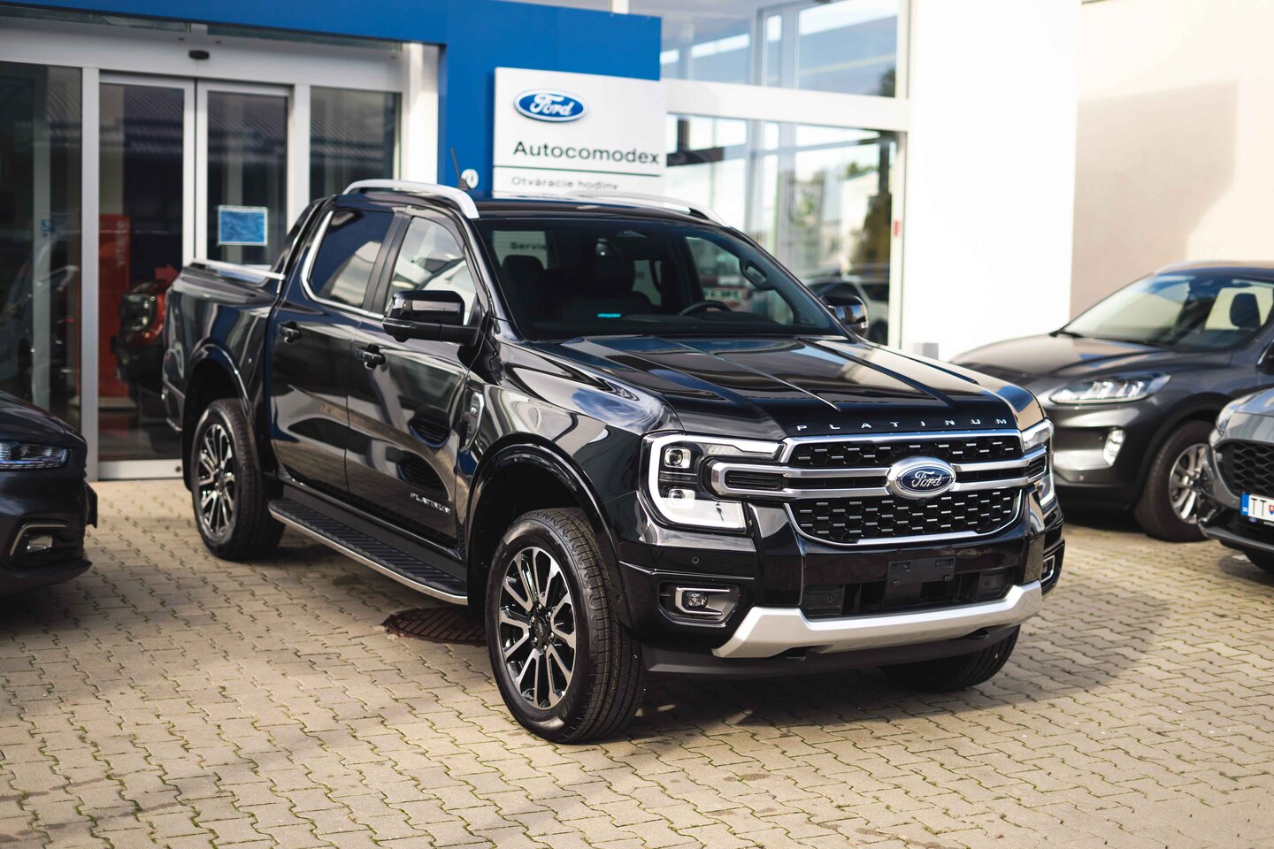 Ranger Platinum V6 08877